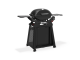 Weber Q2800N+ Gasgrill mit Rollwagen und Seitentischen